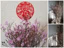 蔓缀 雪柳干枝梅遇水开花枯木逢春水培桃花梅花鲜花带花苞发货好养活 桃花 30枝装遇水开花 带花苞 实拍图