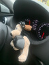 迪加伦可爱飞行员狗汽车怀挡装饰玩偶车载转向灯雨刮器车内怀档饰品摆件 实拍图