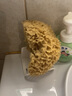 卡琳玛诺希腊进口天然蜂窝海绵洗澡沐浴球搓澡海绵起泡泡浴花球搓泥搓澡巾 原生态甄选A级希腊原产地 蜂窝海绵17-18cm（特大号洗澡） 实拍图