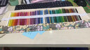 辉柏嘉（Faber-castell） 水溶彩铅72色水溶性48色彩铅笔手绘儿童绘画学生用初学成人彩笔儿童节礼物 48色纸盒+50孔笔帘 实拍图
