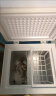 志高（CHIGO）小冰柜家用冷冻小型一级节能省电迷你卧式冷藏保鲜储母乳冷柜 一级能效-118L-单温单门 实拍图