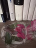 东之天地 干花压花树叶植物标本DIY流苏书签幼儿园亲子手工贴画滴胶树叶画 DIY压花书签【20个随机装】 实拍图
