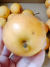 鲜姿辽宁南国梨南果梨香水梨醉梨酒香梨礼盒东北特产水果 4.5-4.8斤超大果约16-20枚精品装 实拍图