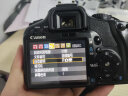 佳能 Canon 700D 650D 600D 550D成龙纪念版 入门级高清旅游数码二手单反相机 450D+18-55mm【套机 95新 晒单实拍图
