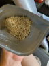 可茜榛子碎坚果碎烘焙用原料原味榛子装饰颗粒100g2-4mm 原味焙烤榛子碎 实拍图