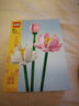 乐高（LEGO）植物花朵40647荷花积木玩具拼装男孩女孩礼物 实拍图