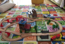 一点儿童木质轨道电动火车玩具轨道车3岁4岁5岁6岁男孩儿童节礼物 松木88件轨道小火车[电动火车] 实拍图