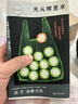 光从哪里来（“《亚洲周刊》2019年十大好书（小说类）”作者远子全新力作） 小说 实拍图