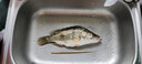 达亿瓦（DAIWA）新款 SWEEPFIRE 进口入门路亚竿 轻量远投路亚钓鱼竿钓竿 662MFS（1.98米中调直柄） 实拍图