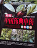 【包邮】精编本草纲目+中国药典中药+中草药原色图谱（彩图精装全三册） 实拍图