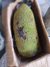 海南菠萝蜜30-35斤整个现摘现发当季热带特产新鲜水果假榴莲 晒单实拍图