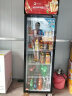 格点 展示柜冷藏大容量饮料柜冰柜商用保鲜超市玻璃门冰箱单门双门立式啤酒柜 单门加深款风冷 500L 实拍图
