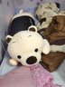 眼含泪光泰迪熊公仔毛绒玩具狗熊布娃娃玩偶睡觉抱枕520情人节送女友礼物 米色开心每一天 1.5米（+小哈士奇） 实拍图