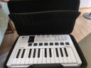 ARTURIA MINILAB3 MK3 便携MIDI键盘25键迷笛控制器打击垫音乐作编曲制作 MiniLab 3白色+便携包 官方授权 赠正版音色库 晒单实拍图