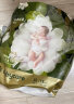 babycare拉拉裤山茶花苞裤轻柔裤XXL30片(15kg以上)bbc婴儿尿不湿柔润舒缓 实拍图