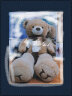 艾乐芙 大号泰迪熊熊毛绒玩具公仔熊玩偶软抱枕女生日情人节朋友礼物熊 IU棕熊围巾 1.6米 晒单实拍图