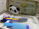 三年二班 熊猫笔袋小学生超大容量可装100支笔女孩文具盒多功能高颜值帆布铅笔盒初中生男孩学习用品套装 （热销）乌漆嘛黑-送熊猫玩偶+熊猫便利贴 实拍图