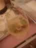乐美雅法国品牌白兰地杯威士忌酒杯洋酒杯红酒杯葡萄酒杯水晶玻璃酒具 单只250ml 实拍图