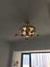 唯色客厅吊扇灯餐厅隐形风扇灯现代简约魔豆多头吊灯带风扇一体灯具 金色12头-48寸强风扇叶 变频遥控 实拍图