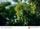 中一（zhongyi） 中一光学90mm F1.5全画幅微单人文旅拍适用于M\RF\FE\Z\L口 徕卡M黑色 标配 实拍图