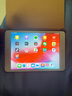 Apple苹果 iPad mini2/mini3/mini4 迷你4平板电脑 【8新】mini2 16G WiFi  品牌充电套装+壳膜+电容笔 实拍图