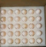 均鲜新鲜鸽子蛋杂粮喂养农家特产白鸽蛋信鸽蛋孕妇宝宝儿童土鸽子蛋 30枚鲜鸽蛋 实拍图