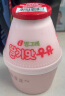 宾格瑞香蕉牛奶238ml/瓶韩国进口坛子奶哈密瓜草莓牛奶饮料儿童学生奶 【12瓶组合】三口味各4瓶 晒单实拍图
