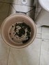 收米带过滤网塑料茶渣桶茶水桶功夫茶漏废水倒掉泡茶叶收纳垃圾桶小号 米色2个装 实拍图