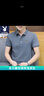 皮尔卡丹短袖T恤男棉夏季翻领polo体恤衫上衣服男士短袖男装t恤打底衫 177深灰 XL （125-140斤） 实拍图
