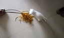 猫玩具 羽毛逗猫棒 弹性好耐用猫咪玩具 宠物猫咪钓鱼杆逗猫玩具 七彩羽毛球逗猫棒【5个装】 实拍图