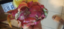 财莱乐海南红心火龙果金都一号新鲜当季水果大果红肉10整箱一级 5斤精品特大果 实拍图