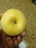 形果山东奶油富士苹果中大果当季现摘山东富士苹果孕妇儿童新鲜水果 奶油富士大果 精选5斤装 实拍图