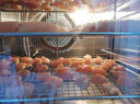 乐创（lecon）干果机商用家用水果零食烘干机10层宠物狗狗冻干食品风干机辣椒药材肉干蔬菜全自动风干机 【家庭mini款】小6层烘干4-6斤 实拍图