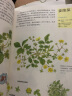 我家门外的自然课（修订版，全4册）南妍汀【3-6岁】 自然图鉴手册 给中小学生的自然科普  实拍图