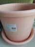 爱丽思（IRIS）花瓶彩色Deepot圆形月季铁线莲花盆园艺批发树脂花盆塑料盆 6号皮肤粉【带托 实拍图