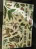 动物博物馆+植物博物馆（套装共2册）  实拍图