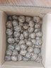 [荔浦发货]南方美农广西特产新鲜马蹄荸荠5斤当季水果蔬菜饽荠中大马蹄 中大果5斤（15-20个/斤） 实拍图