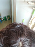 恒发假发女全头套真发短卷发遮白发老人妈妈款时尚透气自然假发套 全真发+递针头旋 深棕色 短发 大码 实拍图