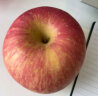 洛川苹果 青怡陕西红富士9斤礼盒装一级中果单果160g以上生鲜 新鲜水果 实拍图