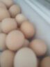 林下养新鲜土鸡蛋30枚装 柴鸡蛋鸡蛋 实拍图