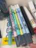 施耐德（Schneider） 钢笔墨囊墨胆墨水德国进口墨水胆欧标钢笔适用18支/30支/100支 【改错笔】5支装颜色随机 实拍图