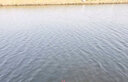 火玲珑4h28调钓鱼竿套装溪流鱼杆极细鲤鲫鱼竿长节短节手竿超轻硬台钓竿 2.7m 4h28调 短节鲫鱼竿 单杆 送杆稍 竿止 实拍图