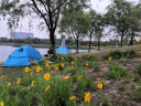 沙漠之狐帐篷 户外野营双人双层帐篷 野外露营防暴雨防晒多人帐篷 铝杆蓝色 晒单实拍图