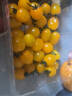 京鲜生 黄千禧 柠黄蜜茄 樱桃番茄 500g装 生鲜水果 实拍图