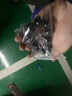 玄同黑檀紫光檀小孔顺纹佛珠文玩手串时尚男女款念珠手链 葫芦款 珠径1.8cm*13颗 实拍图