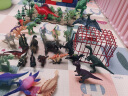 纽奇（Nukied）儿童恐龙玩具男孩3-6岁动物模型霸王龙长颈鹿野生动物套装礼物 恐龙乐园12件套【恐龙手册】 实拍图