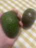 橙小士进口牛油果水果墨西哥秘鲁巨无霸鳄梨应当季宝宝水果辅食 中果两粒装 单粒130-160【g】 实拍图