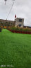 乐子君 仿真草坪人造草坪地毯草皮塑料假草皮庭院阳光房隔热 25mm春绿50 实拍图