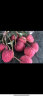新鲜荔枝 玉荷包 粒果无枝叶 净重6斤 产地直采量贩装 新鲜水果 晒单实拍图