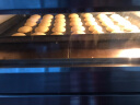 乐创（lecon）烤箱商用电烤箱大型商用燃气烤箱大容量液化气蛋挞烤炉双层烘培西点蛋糕面包店大容量焗炉 新款电热 二层二盘 l 400℃ 220/380V 晒单实拍图